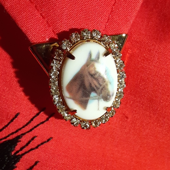 Horse Portrait Western Collar Tips - Picture 1 of 5